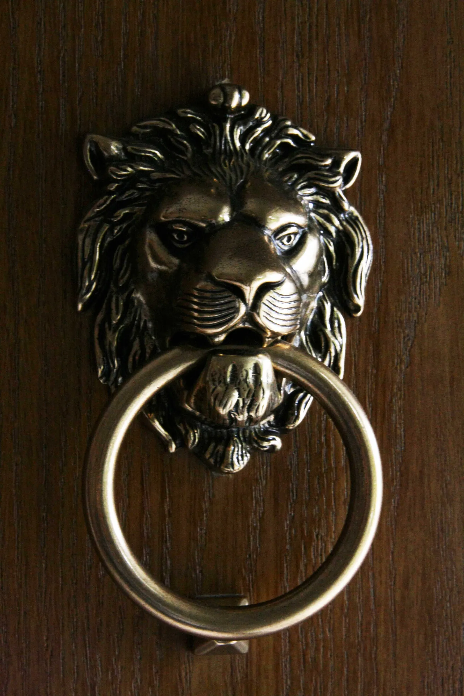 Uptown Century Home — image 4