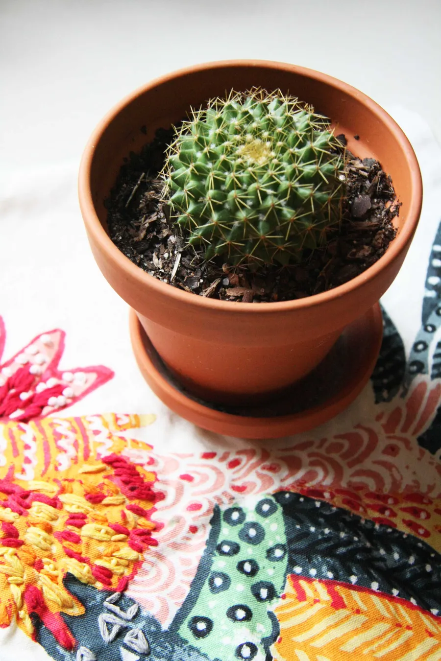 Uptown Century Home — image 15