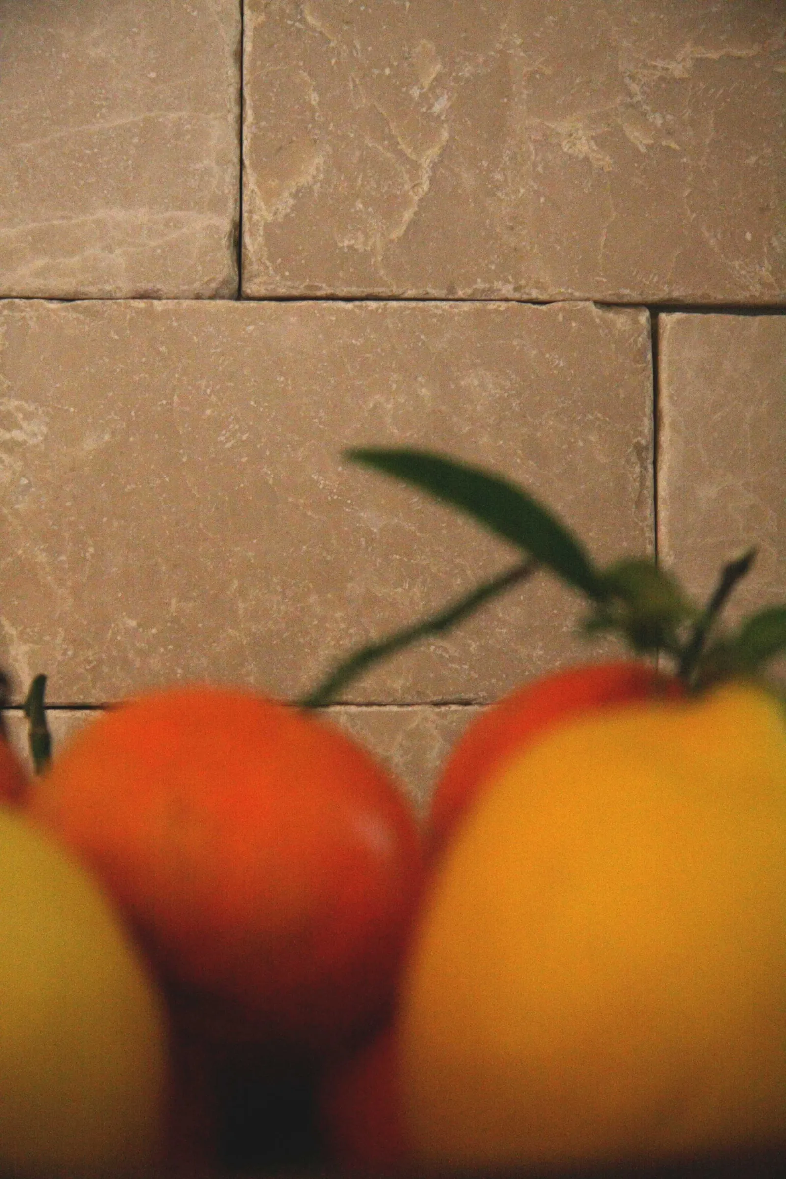 Uptown Century Home — image 24