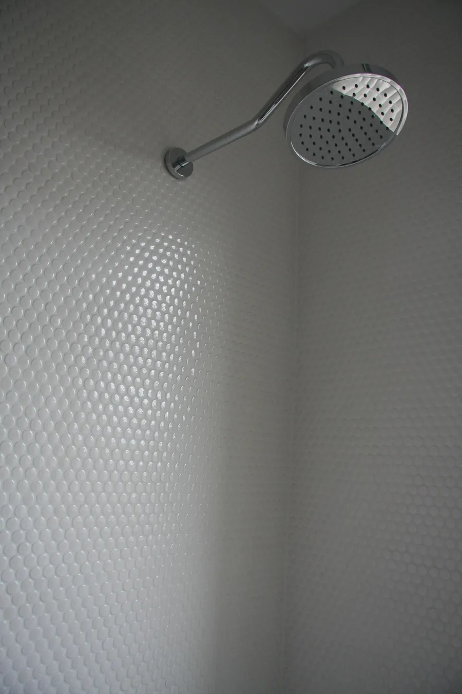 Uptown Century Home — image 40