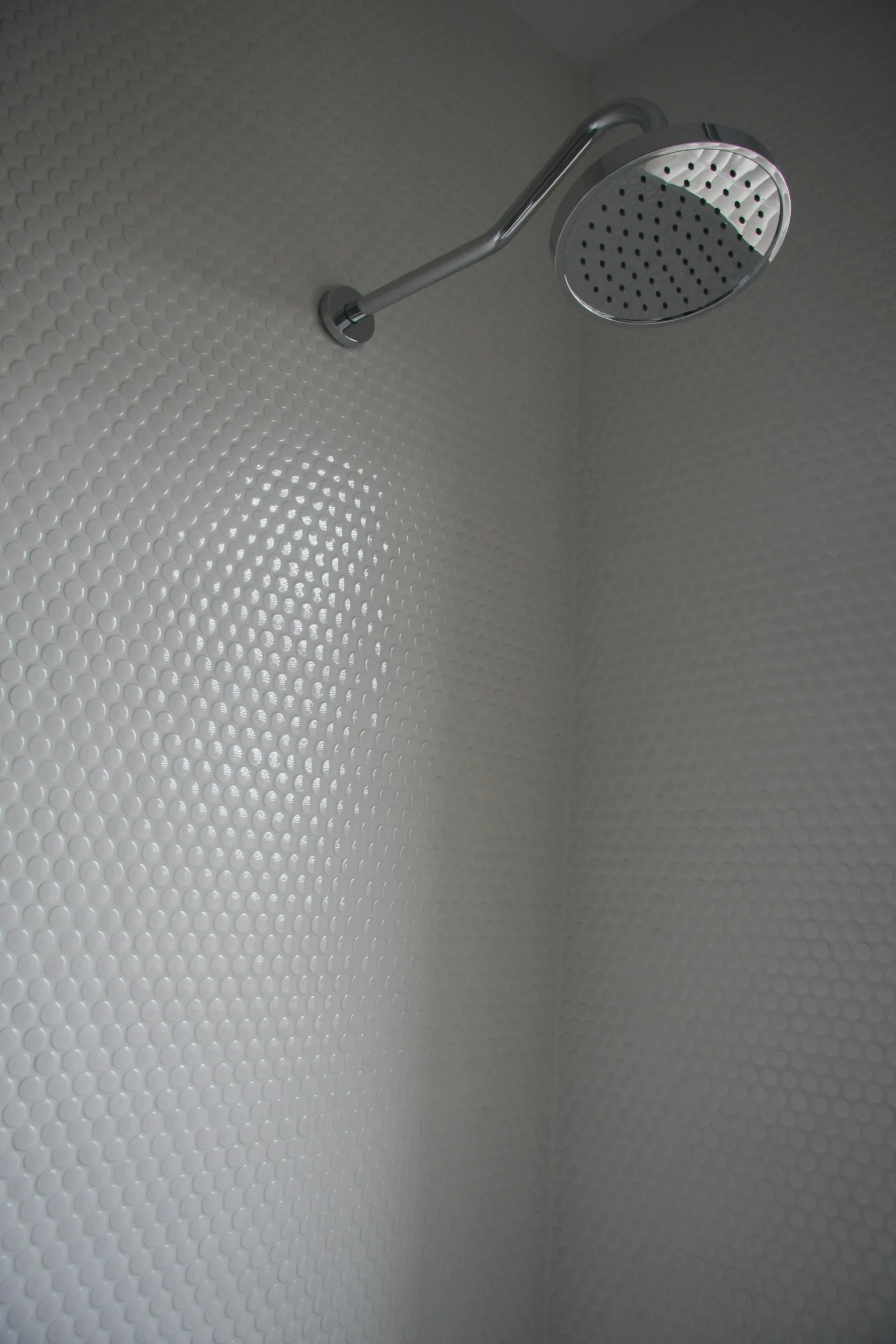 Uptown Century Home — image 40