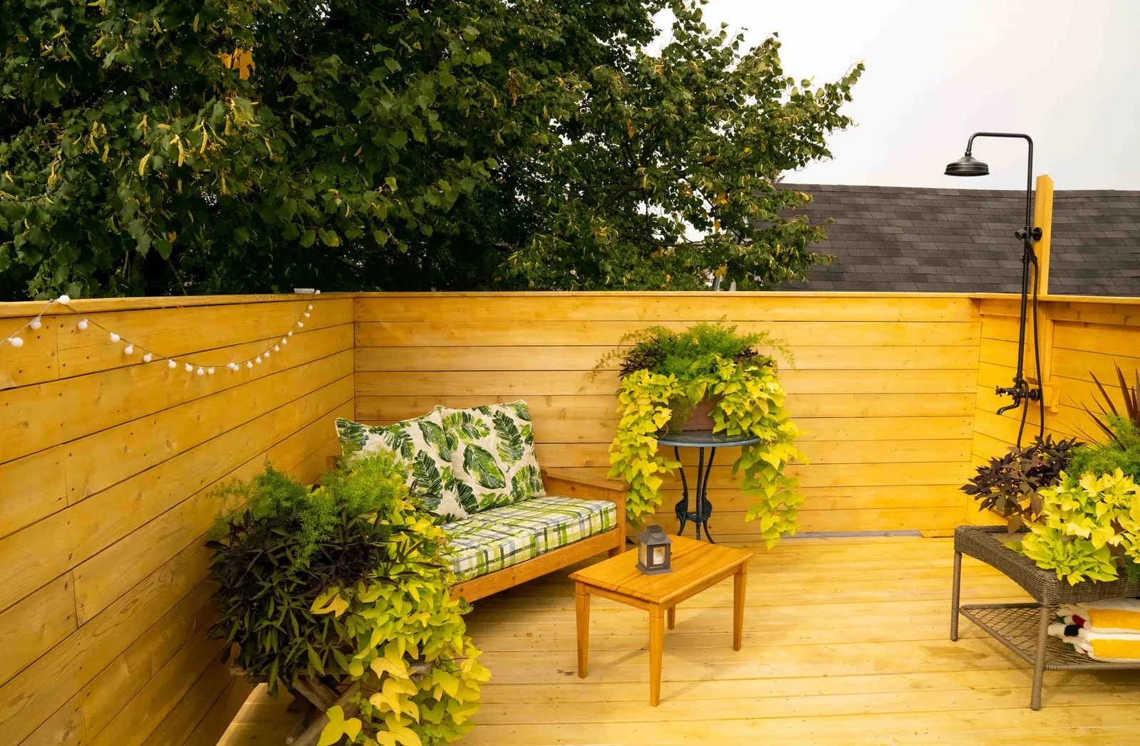 Uptown Century Home — image 48